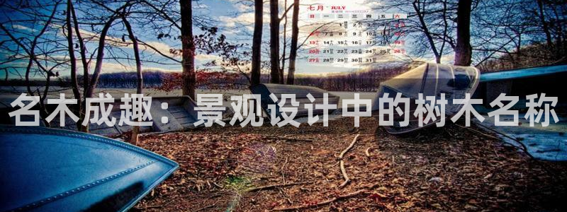 新宝gg手机注册官网:名木成趣:景观设计中的树木名称