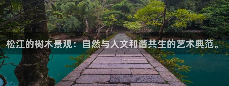 新宝gg资料:松江的树木景观:自然与人文和谐共生的艺术典范。