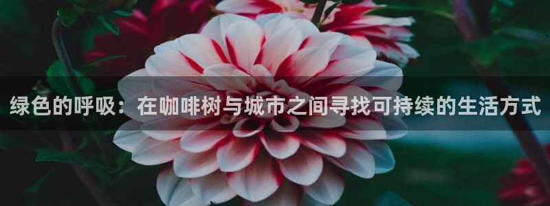 j新宝GG:绿色的呼吸:在咖啡树与城市之间寻找可持续的生活方式
