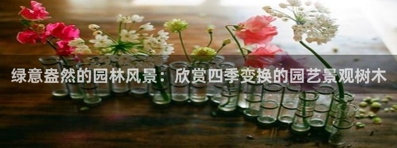 新宝给gg:绿意盎然的园林风景:欣赏四季变换的园艺景观树木